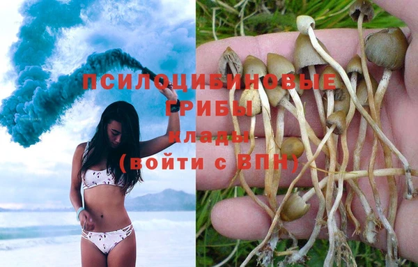 2c-b Алексеевка