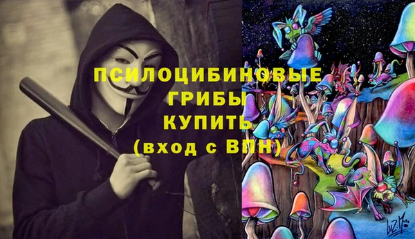 2c-b Алексеевка